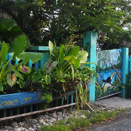 Bed and Breakfast Cocomo On The Sea Bocas del Toro Экстерьер фото